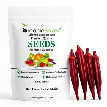 Red Okra (lal bhindi) Seeds Hybrid - 30 Seeds (लाल भिंडी के बीज) Easy To grow, High Germination, High Yield Okra Seeds for Home Gardening