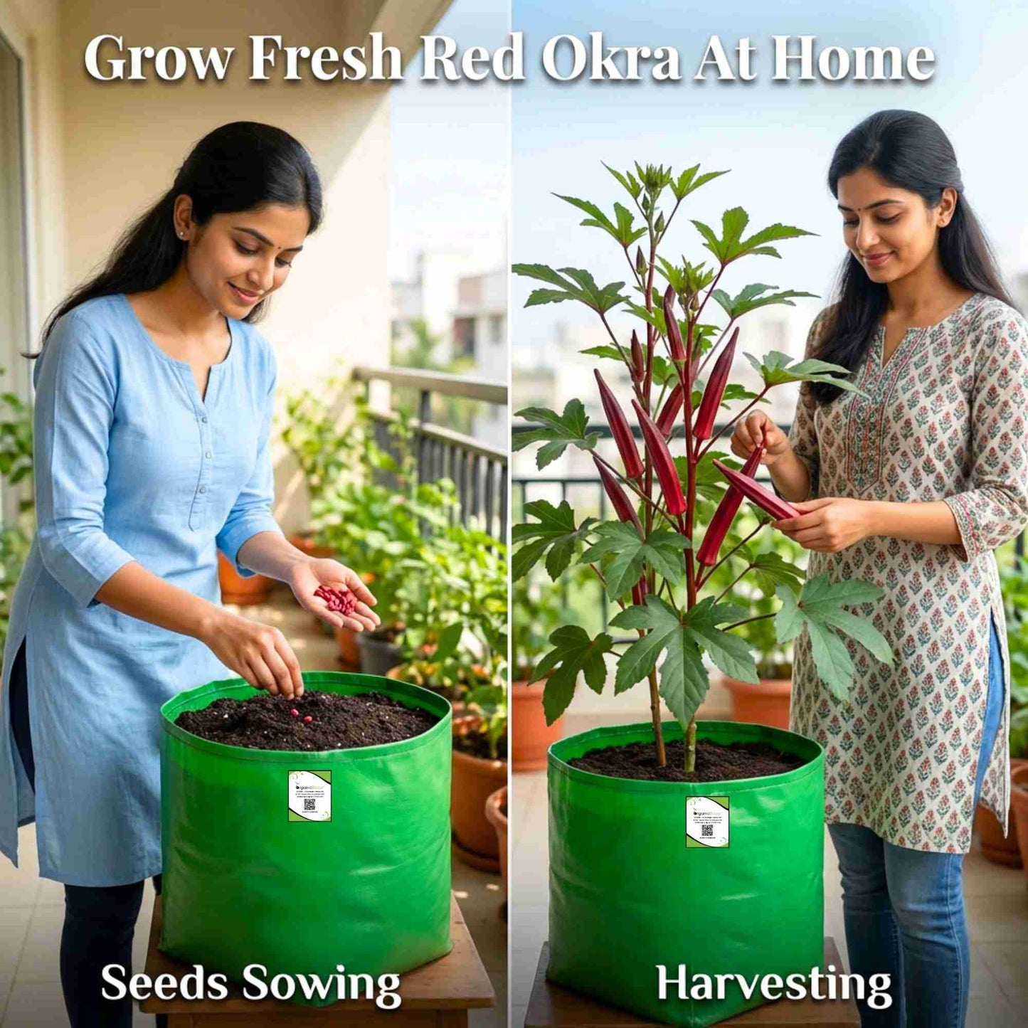 Red Okra (lal bhindi) Seeds - 30 Seeds (लाल भिंडी के बीज) Easy To grow, High Germination, High Yield Okra Seeds for Home Gardening