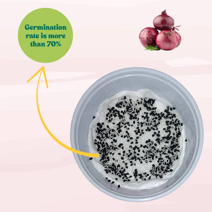 Red Onion (Lal Pyaj) Seeds - 400 Seeds (लाल प्याज के बीज) High Yield/High Germination/Best Seeds for Terrace Gardening
