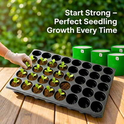 Reusable Seedling Tray (40 Holes, Pack of 5, Black)