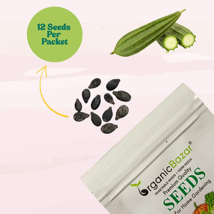 Ridge Gourd Dark Green Seeds - 12 Seeds (Luffa/Turai/तुरई के बीज) Easy To grow, High Germination, High Yield Seeds for Home Gardening
