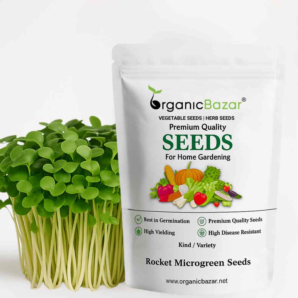 Rocket Microgreen Seeds (2g Seeds)