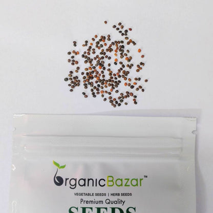 Rocket Seeds (200 Seeds) Easy To grow, High Germination Seeds for Home Gardening