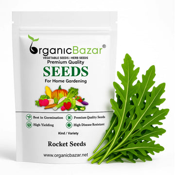 Rocket Seeds (200 Seeds)