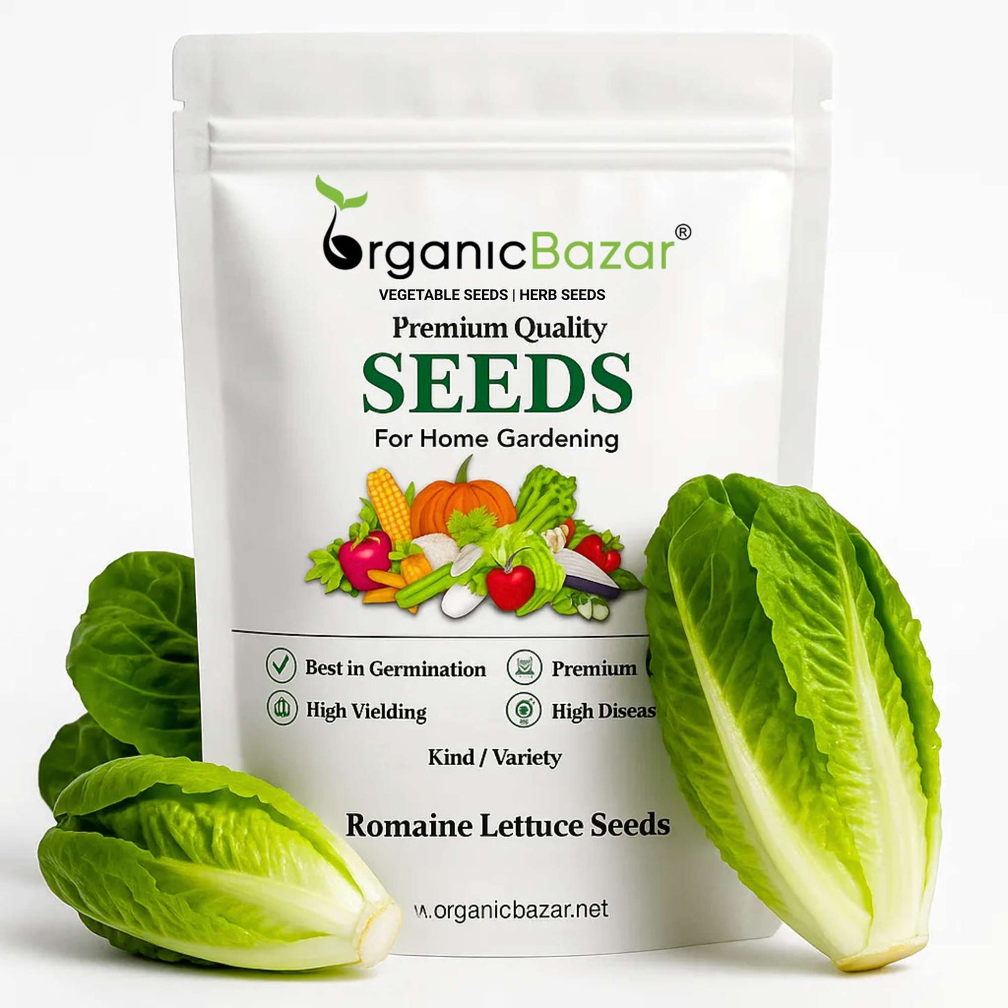 Romaine Lettuce Seeds (300 Seeds) Easy To Grow, High Germination, Leafy Vegetable Seeds for Balcony, Terrace Garden