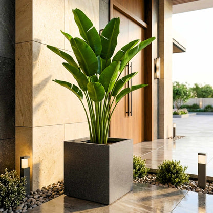 Cubicis Roto Moulded Square Luxury Planter Pot with 10+ Years Durability | Terrazzo Finish Roto Container | Durable, Lightweight & Weatherproof Pot for Garden, Balcony & Living Room