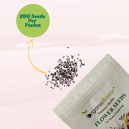 Rudbeckia Rustic Dwarf Mixed Seeds (200 Seeds) High Germination/ Easy To grow/ Perfect for pots, balconies, or Terrace gardens