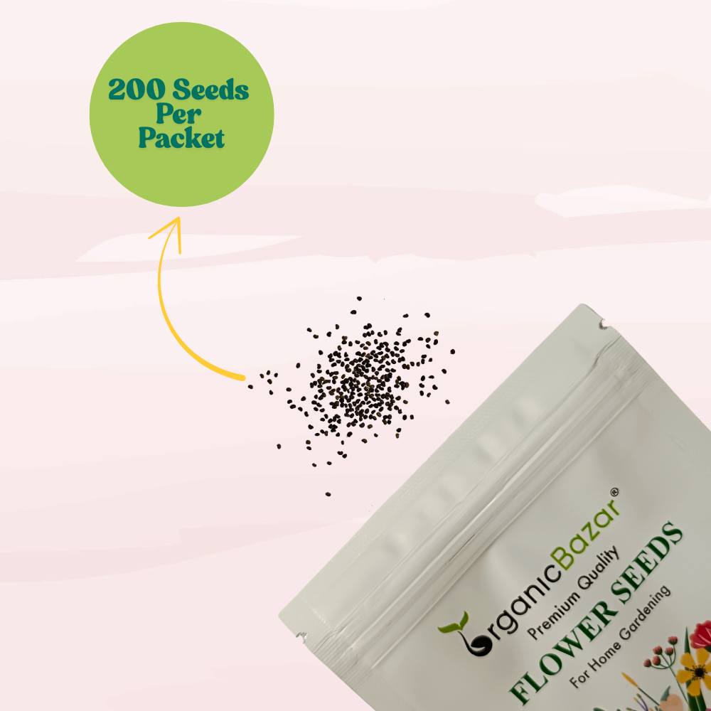 Schizanthus Angel Wings Mix Seeds (200 Seeds) Easy To grow/ Perfect for pots, balconies, or Terrace gardens