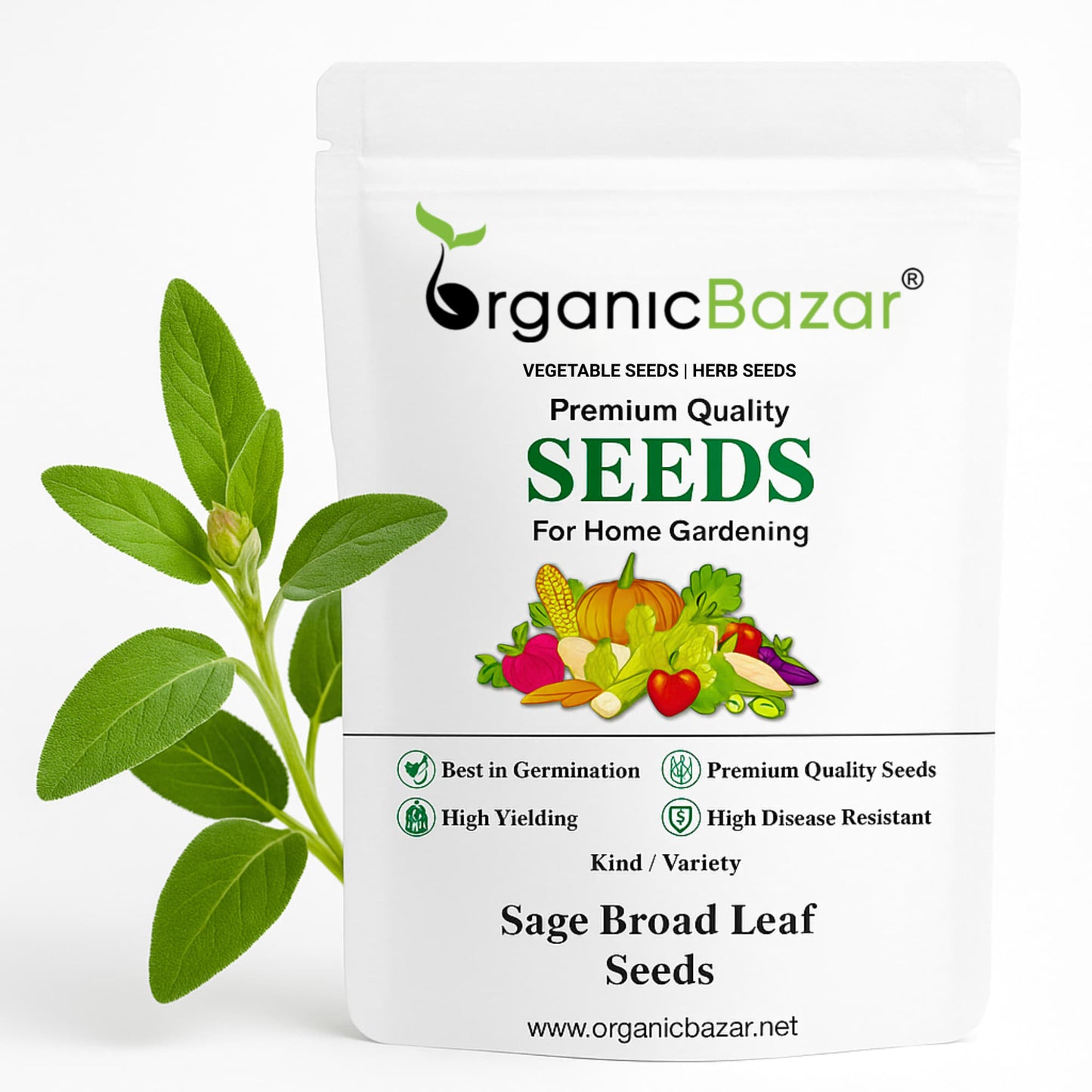 Sage Broad Leaf Seeds - 100 Seeds (Rishi Podha /ऋषि पौधा)