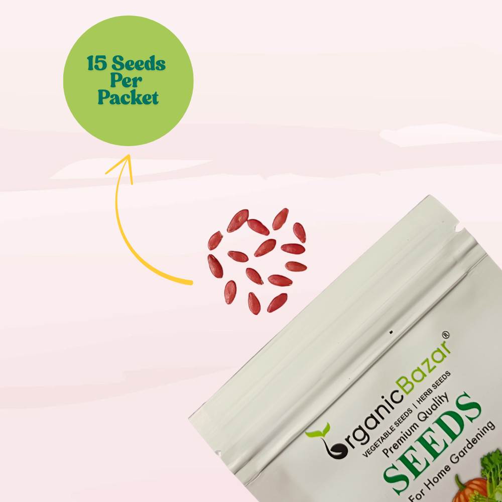 Sambar Cucumber Seeds - 15 Seeds (Phoot kakdi/सांबर कुकुम्बर के बीज) High Germination, Easy to Grow Seeds For Terrace Gardening