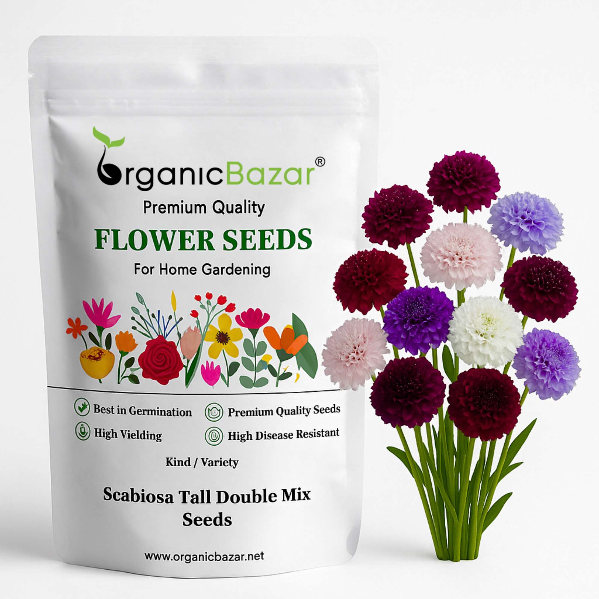 Scabiosa Tall Double Mix Seeds (200 Seeds)