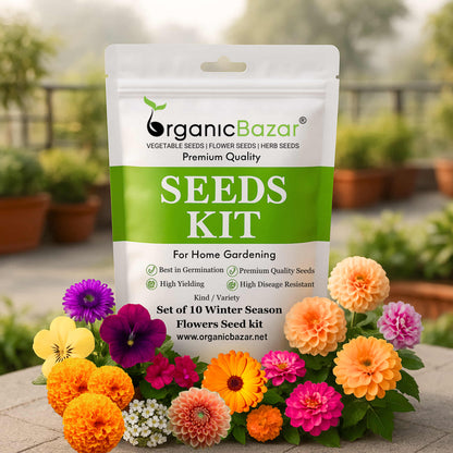 winter flower seeds to plant Buy Set of 10 Winter Season Flower Seeds kit – Organicbazar