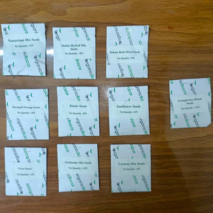 Set of 10 Summer Season Flowers Seed kit