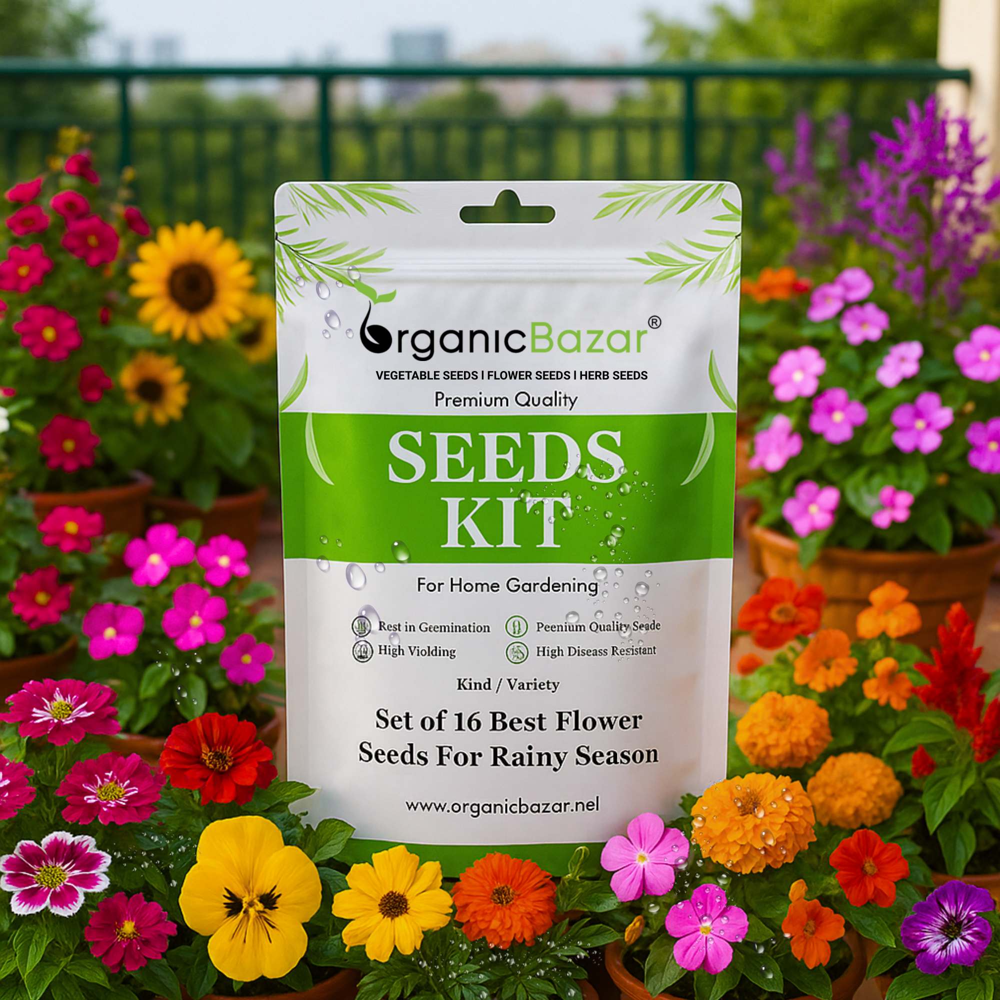 Set of 16 Best Flower Seeds For Rainy Season
