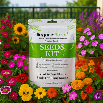 Set of 16 Best Flower Seeds For Rainy Season