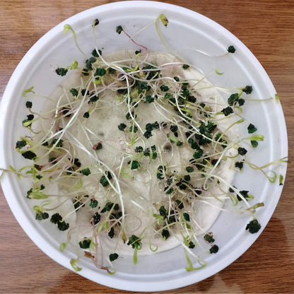 Spinach (Palak) Seeds (750 Seeds) (पालक के बीज)