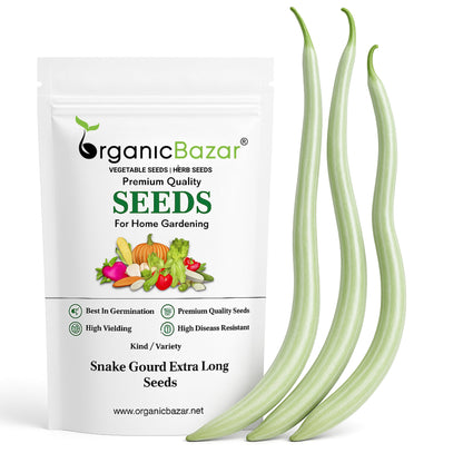 Snake Gourd Extra long Seeds - 10 Seeds (Chichinda/चिचिंडा के बीज)