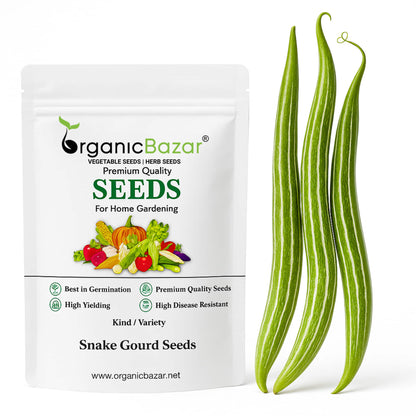 Snake Gourd (chichinda) Seeds - 10 Seeds (चिचिंडा के बीज) Easy To grow, High Germination, High Yield Snake Gourd Seeds for Terrace Gardening