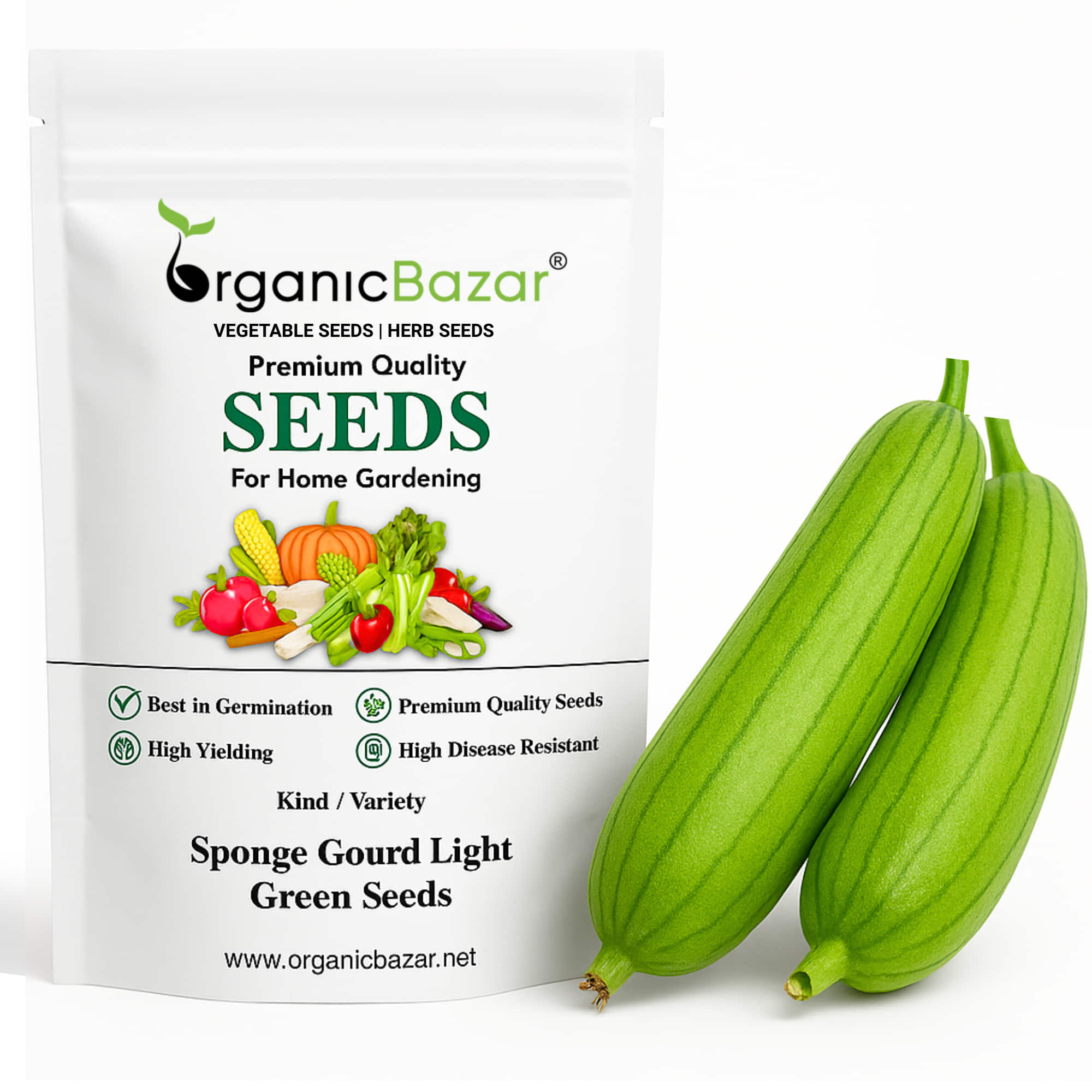 Sponge Gourd Light Green F1 Hybrid Seeds - 12 Seeds (Luffa/Gilki/गिलकी के बीज) Easy To grow, High Germination, High Yield Seeds for Home Gardening
