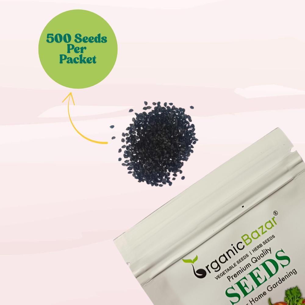 Spring Onion (Bunching Onion) Seeds - 500 Seeds ( Hari Pyaj/हरी प्याज के बीज) High Germination/Best Seeds for Terrace Gardening