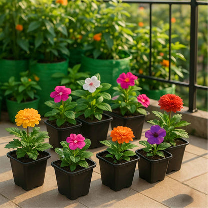 Square Nursery Pots for Seedlings (Black)