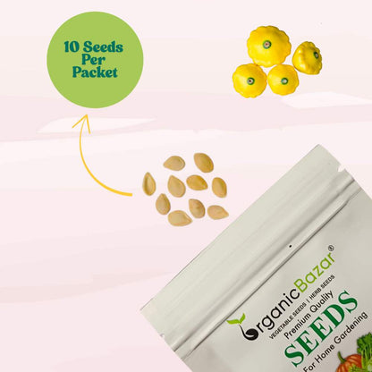 Squash Patty Pan Seeds - 10 Seeds (पैटीपैन स्क्वैश के बीज) Easy To grow, High Germination, High Yield Seeds for Home Gardening