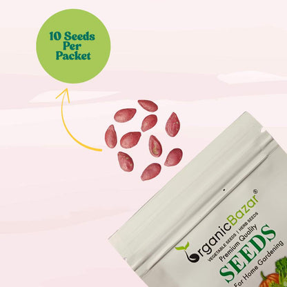 Squash Walthum Butternut Seeds - 10 Seeds (कद्बदू/बटरनट स्क्वैश के बीज) Easy To grow, High Germination, High Yield Seeds for Home Gardening