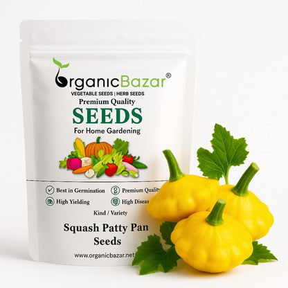 Squash Patty Pan Seeds - 10 Seeds (पैटीपैन स्क्वैश के बीज) Easy To grow, High Germination, High Yield Seeds for Home Gardening