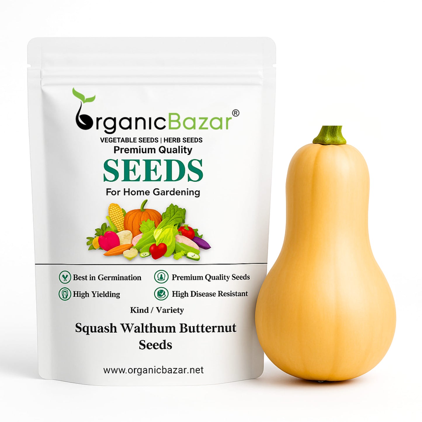 Squash Walthum Butternut Seeds - 10 Seeds (कद्बदू/बटरनट स्क्वैश के बीज) Easy To grow, High Germination, High Yield Seeds for Home Gardening