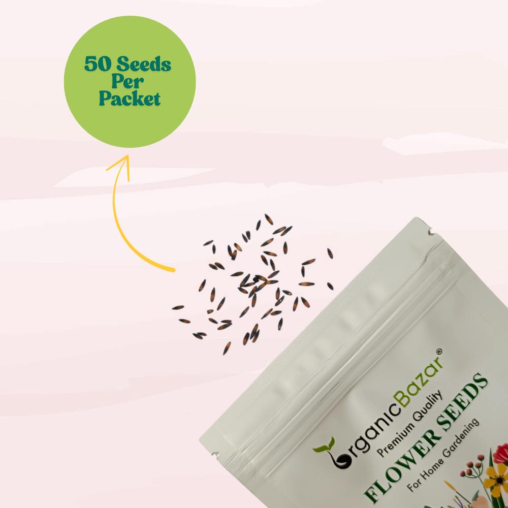 Statice Pacific Yellow seeds (50 Seeds) High Germination/ Easy To grow/ Perfect for pots, balconies, or Terrace gardens