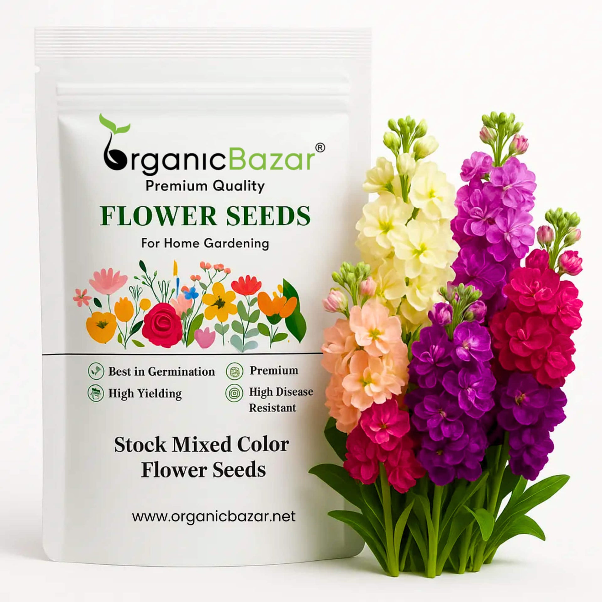 Buy Best Quality Stocks Mixed Color Flower Seeds Online