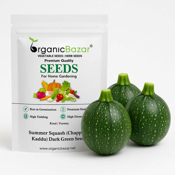 Summer Squash (Chappan Kaddu) Hybrid Dark Green (15 Seeds) Easy To grow, High Germination, High Yield Seeds for Home Gardening
