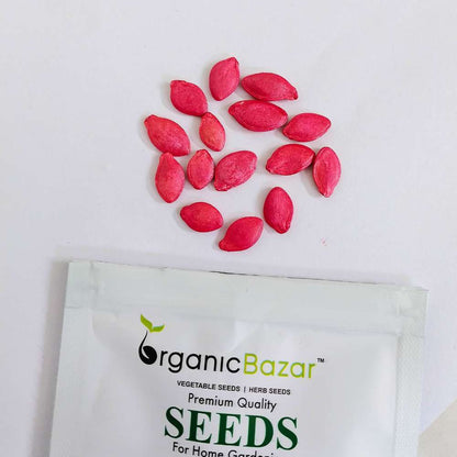 Summer Squash (Chappan Kaddu) Light Green Seeds (15 Seeds)