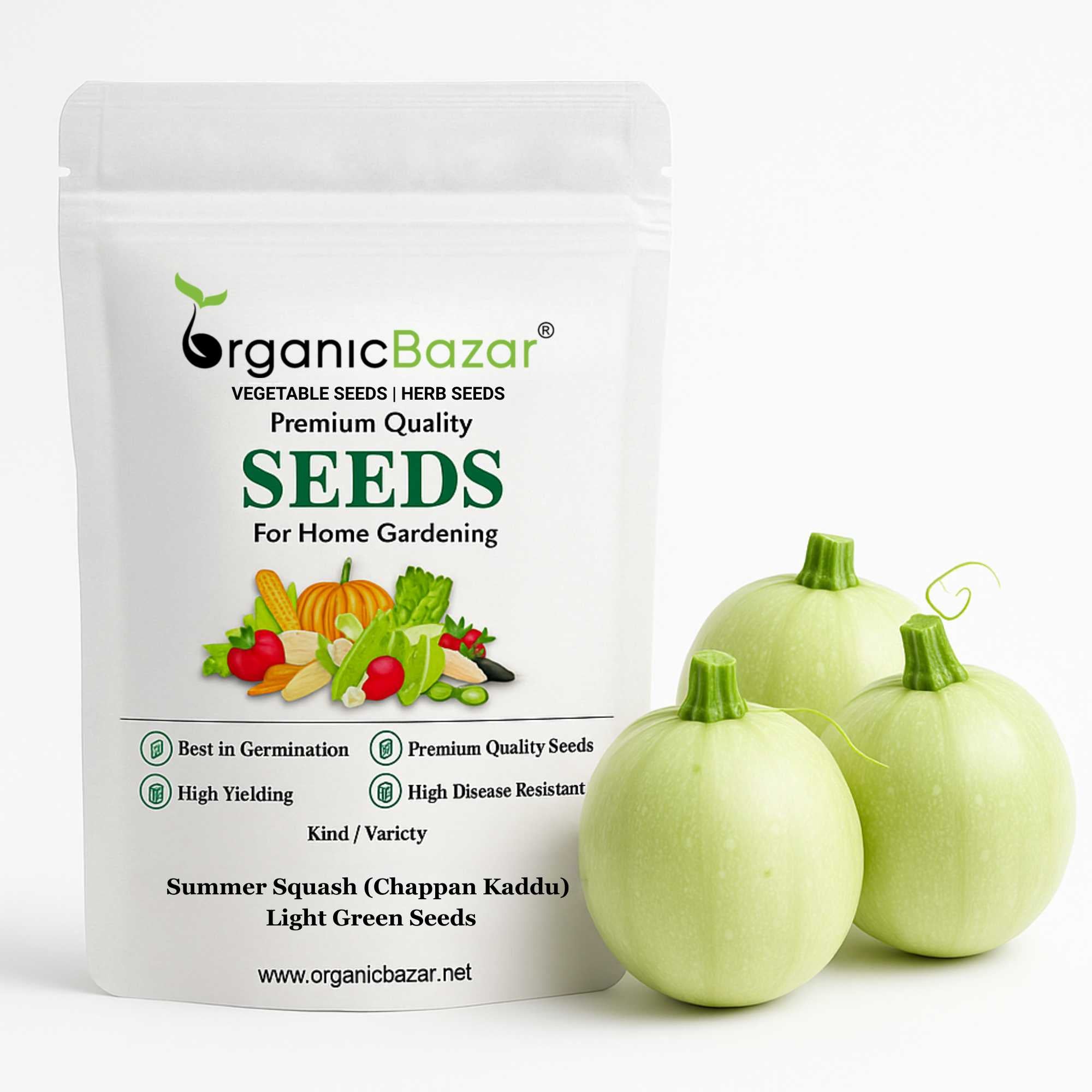 Summer Squash (Chappan Kaddu) Light Green Seeds (15 Seeds)
