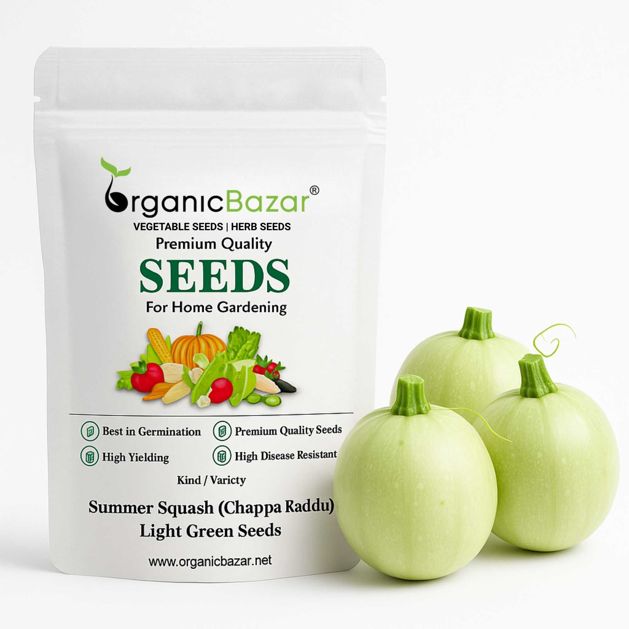 Summer Squash (Chappan Kaddu) Light Green Seeds (15 Seeds)