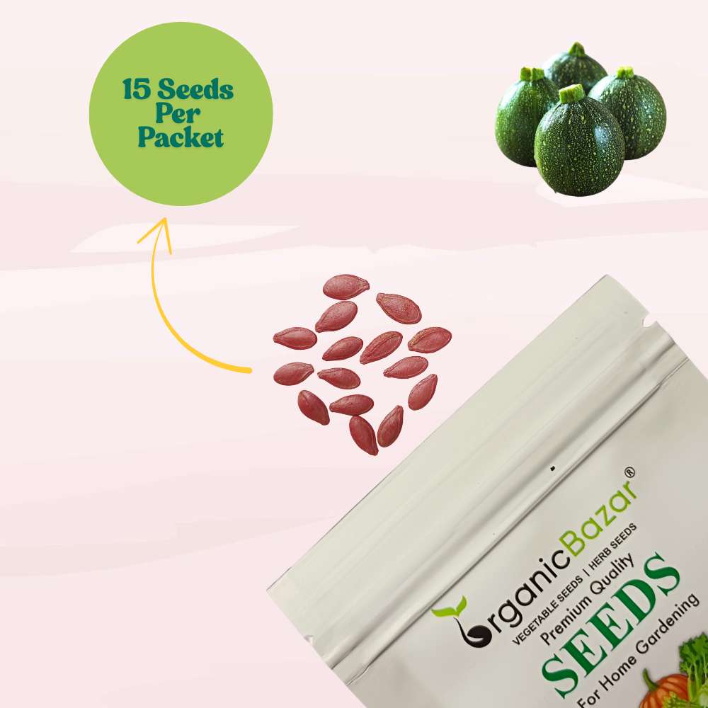 Summer Squash (Chappan Kaddu) Dark Green (15 Seeds) Easy To grow, High Germination, High Yield Seeds for Home Gardening