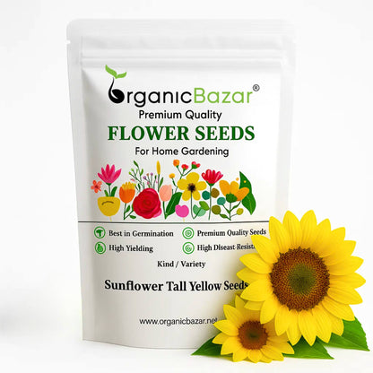Sunflower Tall Yellow Seeds - 20 Seeds (Surajmukhi/सूरजमुखी के बीज) High Germination/ Easy To grow/ Perfect For Terrace gardening