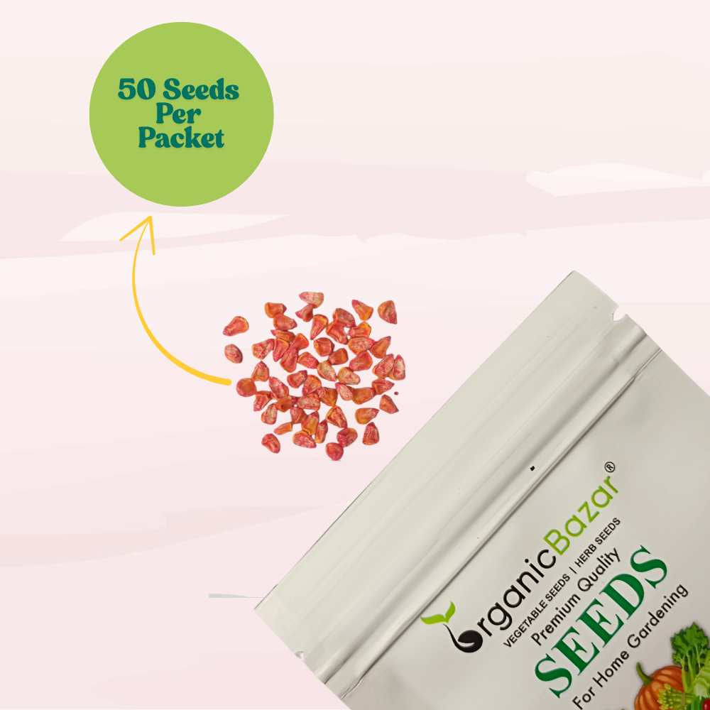 Sweet Corn (Makka) Seeds - 50 Seeds (मक्का के बीज) High Germination, Easy to Grow, Premium Quality Sweet Corn Seeds for Kitchen Gardening