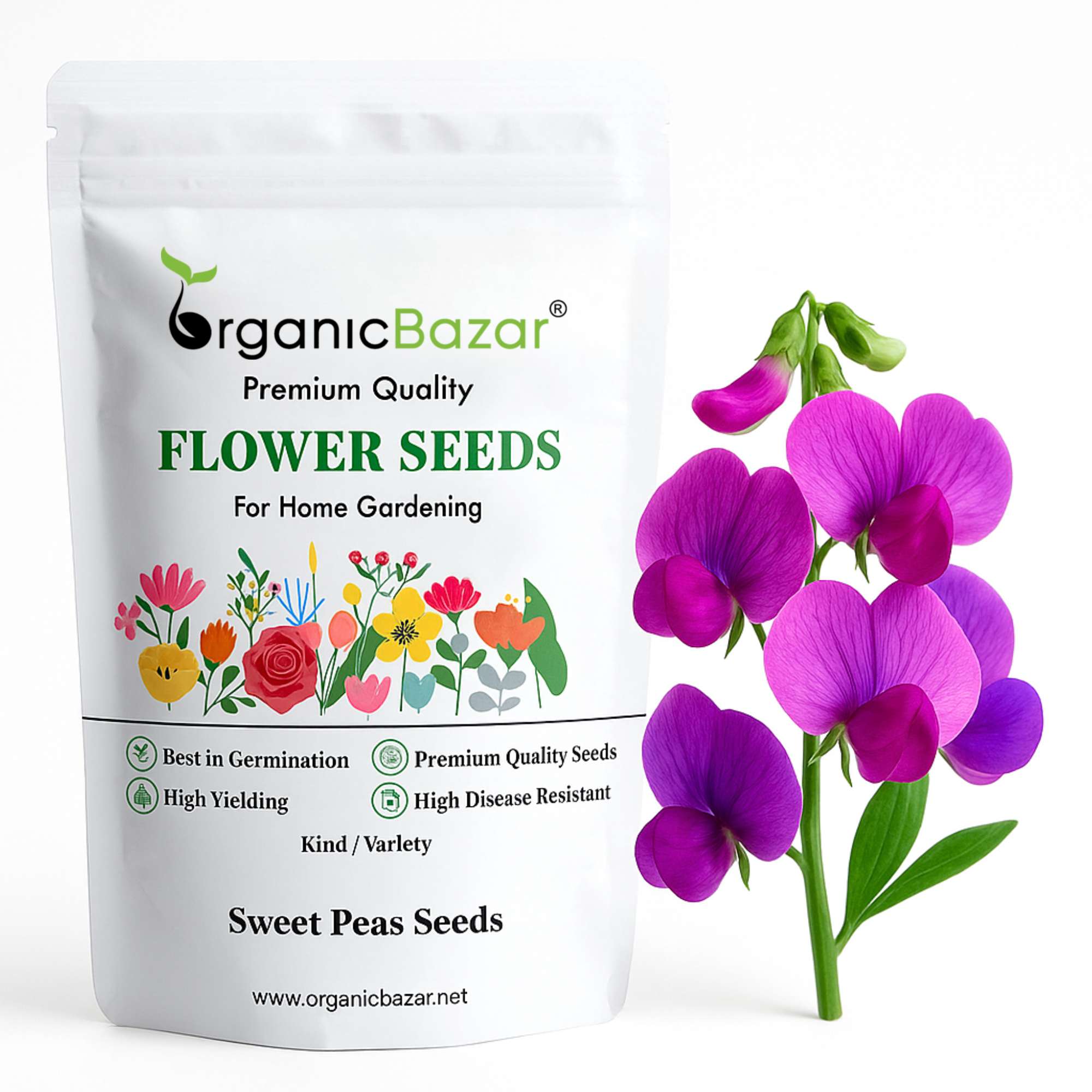 Sweet Peas Seeds (40 Seeds) High Germination/ Easy To grow/ Perfect for pots, balconies, or Terrace gardens