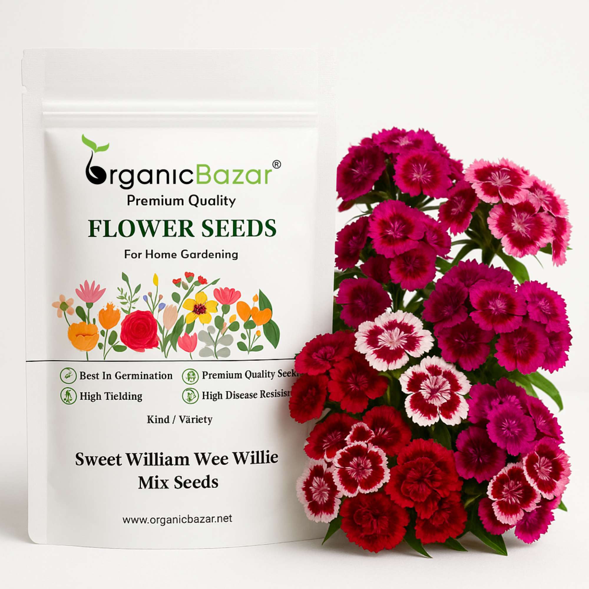 Sweet William Wee Willie Mix Seeds (200 Seeds) High Germination/ Easy To grow/ Perfect for pots, balconies, or Terrace gardens