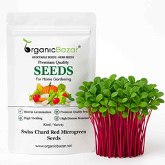 Swiss Chard Red Microgreen Seeds (20g Seeds)