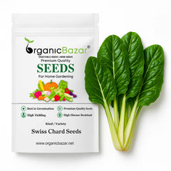 Swiss Chard Seeds - 100 Seeds (स्विस चार्ड के बीज)