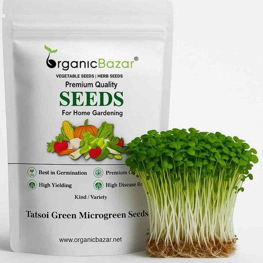 Tatsoi Green Microgreen Seeds (5g Seeds)