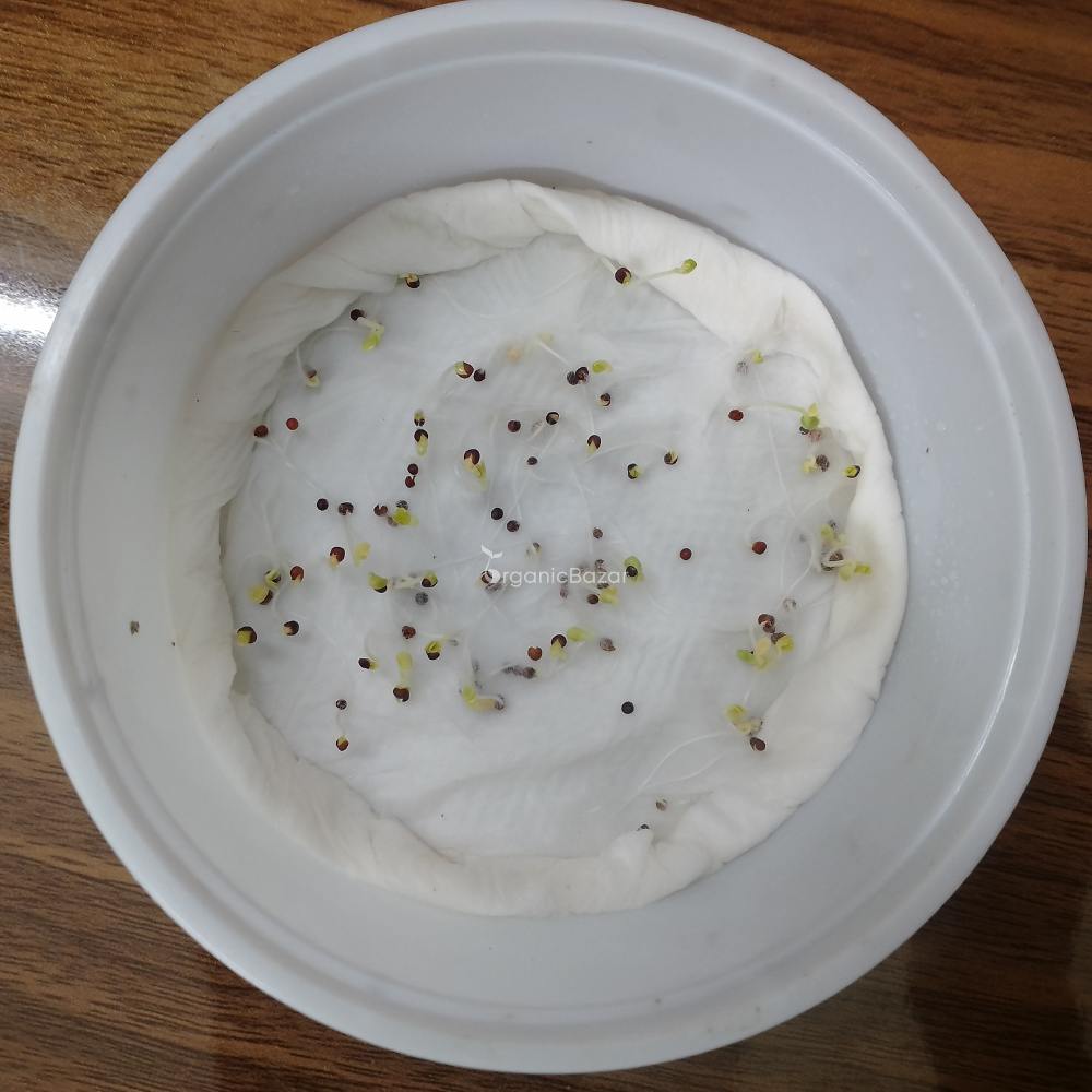 Tatsoi Green Seeds - 100 Seeds (तत्सोई ग्रीन के बीज)