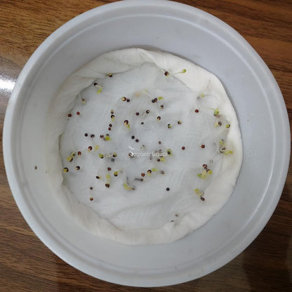 Tatsoi Green Seeds - 100 Seeds (तत्सोई ग्रीन के बीज)