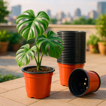 Thermoform Pot-4 Terracotta Color (Set of 20) (10cm)