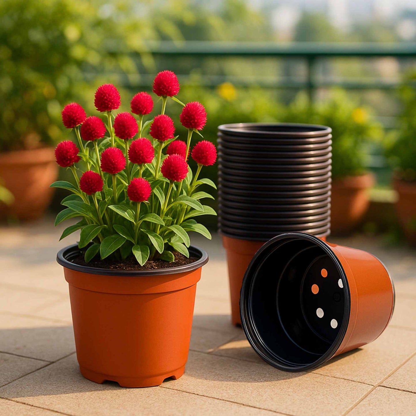 Thermoform Pot-6 Terracotta Color (Set of 20) (15cm)
