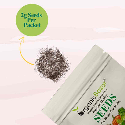 Thyme Microgreen Seeds (2g Seeds)