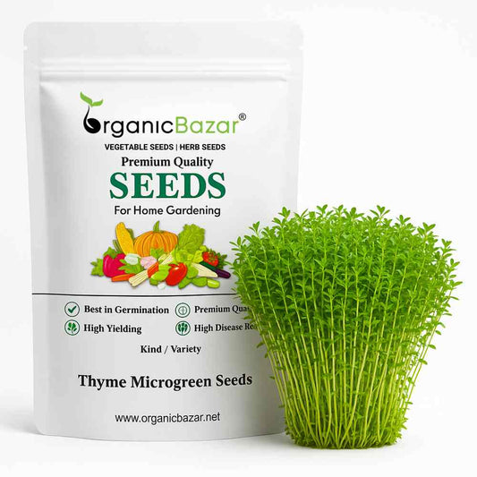 Thyme Microgreen Seeds (2g Seeds)