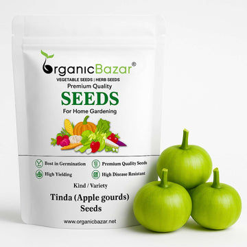 Tinda (Apple gourds) Seeds - 30 Seeds (टिंडा के बीज)